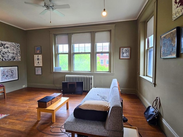 5 Crawford St Unit 9, Cambridge, MA 02139 - sitting room with radiator heating unit, plenty of natural light, wood finished floors, and crown molding
