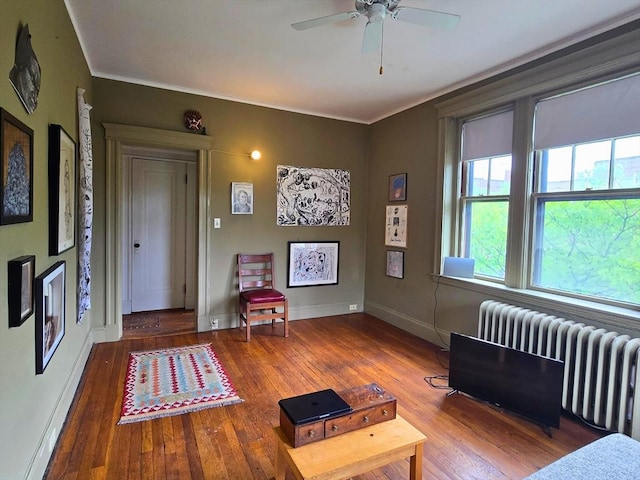 5 Crawford St Unit 9, Cambridge, MA 02139 - living area featuring radiator heating unit, wood finished floors, a ceiling fan, baseboards, and ornamental molding