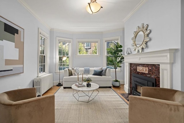 interior space with ornamental molding, radiator, a fireplace, and wood finished floors