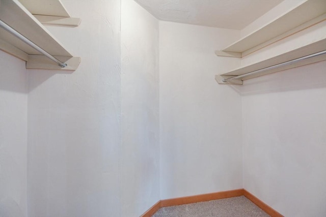 31 Blithewood Ave Unit 106, Worcester, MA 01604 - walk in closet featuring carpet floors