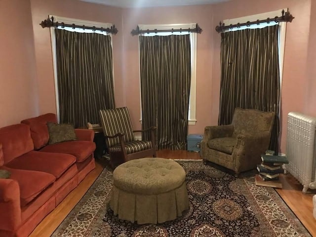 6 Newton Ave, Worcester, MA 01602 - sitting room featuring wood finished floors and radiator heating unit
