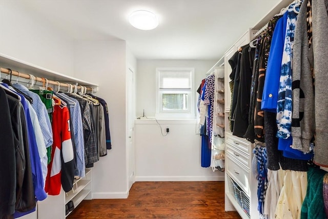 spacious closet with dark wood-type flooring