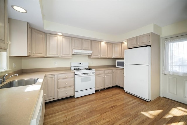 kitchen with light hardwood / wood-style floors, white appliances, and sink