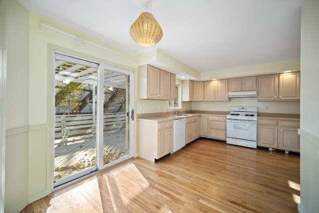 kitchen featuring sink, light brown cabinets, hanging light fixtures, light hardwood / wood-style flooring, and white appliances