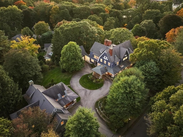 53 Abbott Rd, Wellesley, MA 02481 - drone / aerial view of a forest