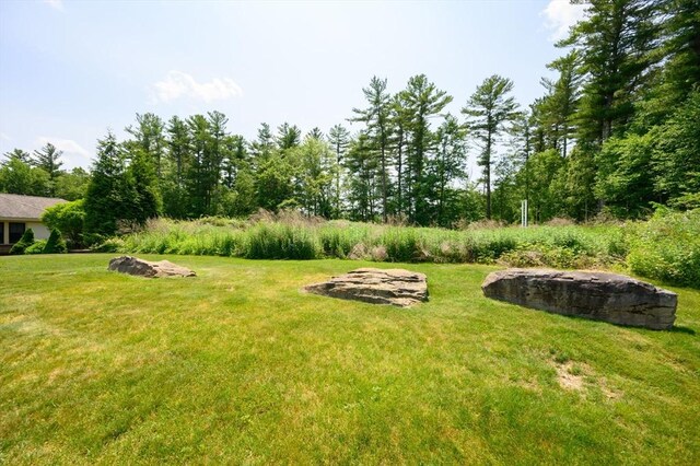 599 Washington St Unit 1, Pembroke, MA 02359 - view of green lawn