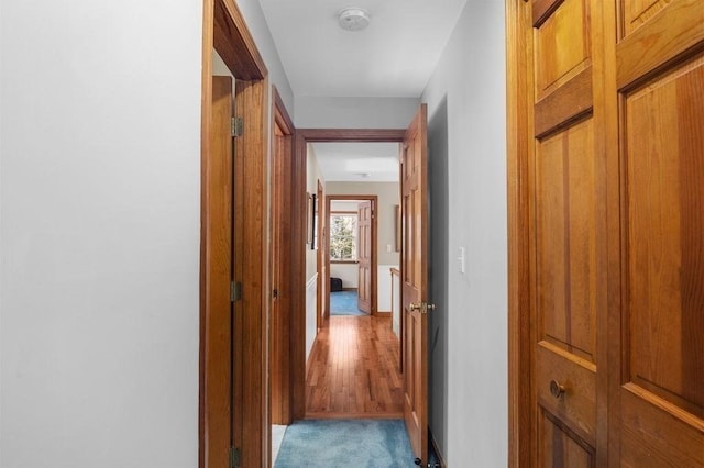 view of hallway
