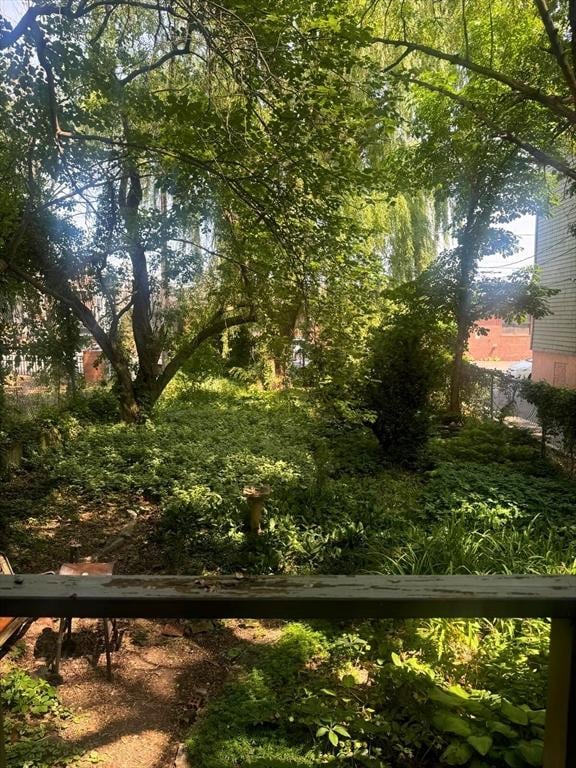10 Eldridge Pl, Chelsea, MA 02150 - view of yard