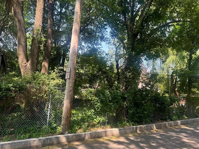 10 Eldridge Pl, Chelsea, MA 02150 - view of nature