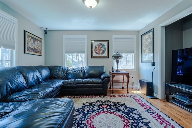 living room featuring wood finished floors, a wealth of natural light, and baseboards