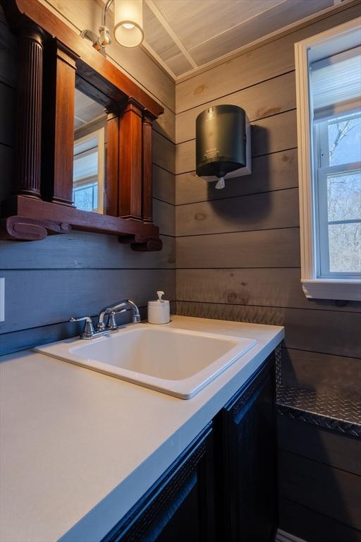 bathroom with wooden walls and vanity