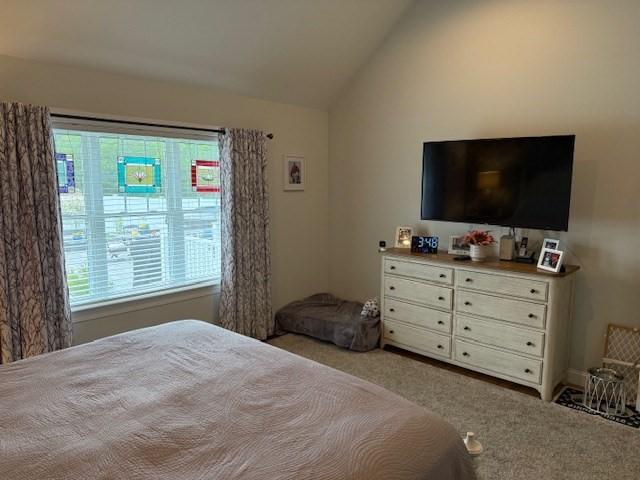 1 Karas Way, Plymouth, MA 02360 - carpeted bedroom with vaulted ceiling
