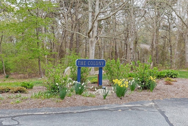 view of surrounding community