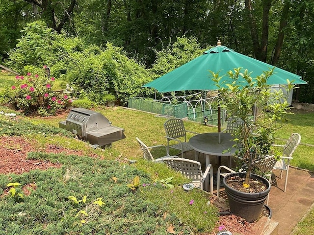 16 Knox St, Worcester, MA 01603 - view of yard