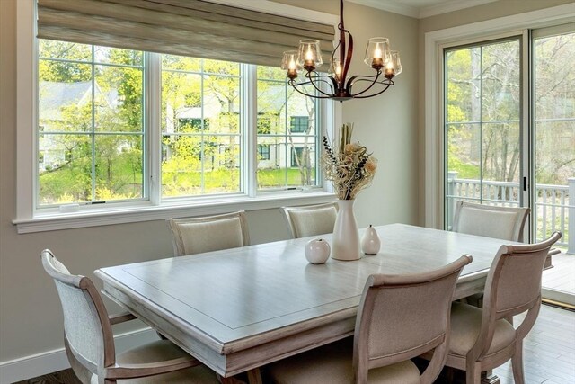 dining room with ornamental molding, wood finished floors, a notable chandelier, and a healthy amount of sunlight