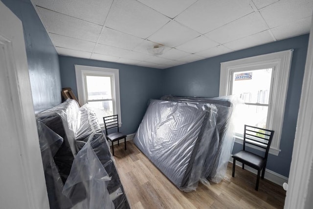 bedroom with baseboards, wood finished floors, and a drop ceiling