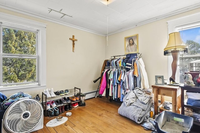 walk in closet featuring wood-type flooring