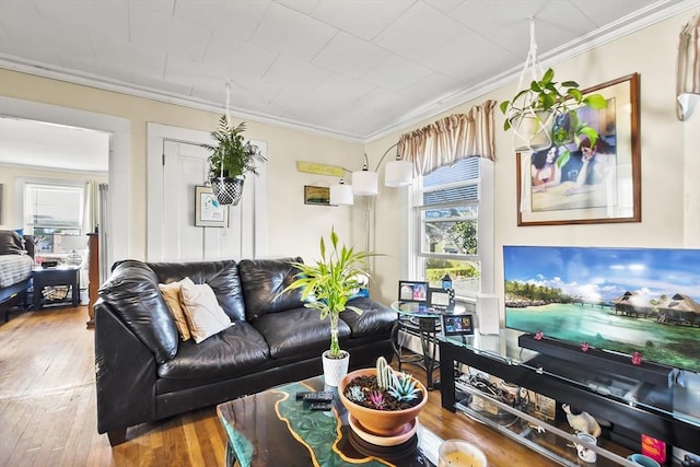 living area with hardwood / wood-style floors and ornamental molding