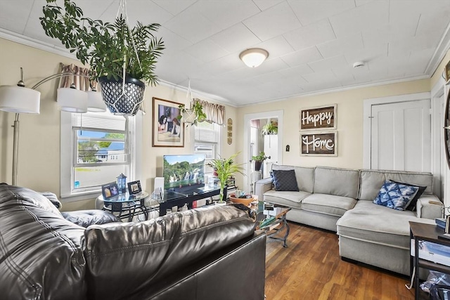 living room with ornamental molding and wood finished floors