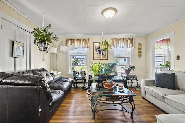 living area with crown molding, wood finished floors, and a baseboard radiator