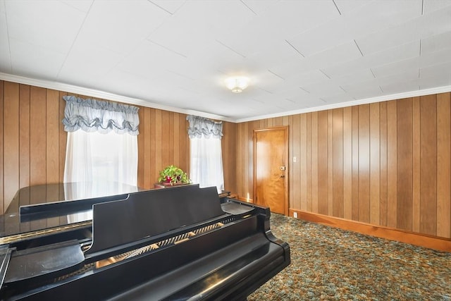 miscellaneous room featuring wood walls, carpet flooring, and ornamental molding