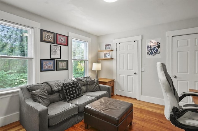 171 Boyce St, Auburn, MA 01501 - living area with wood finished floors and baseboards