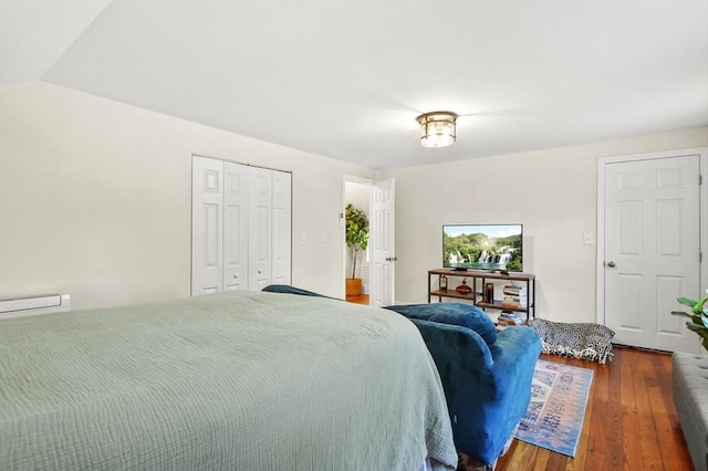 171 Boyce St, Auburn, MA 01501 - bedroom with wood finished floors and a closet