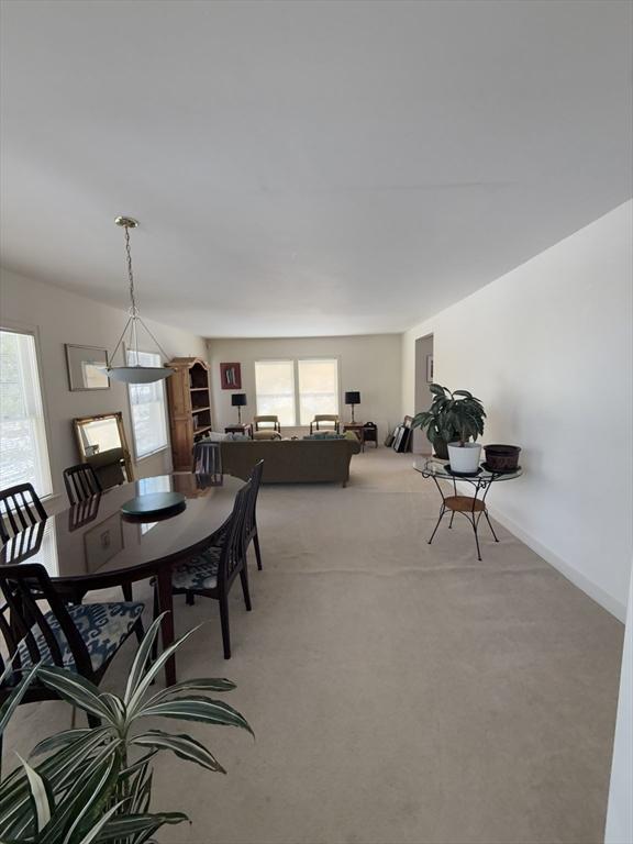 dining room featuring light carpet and plenty of natural light