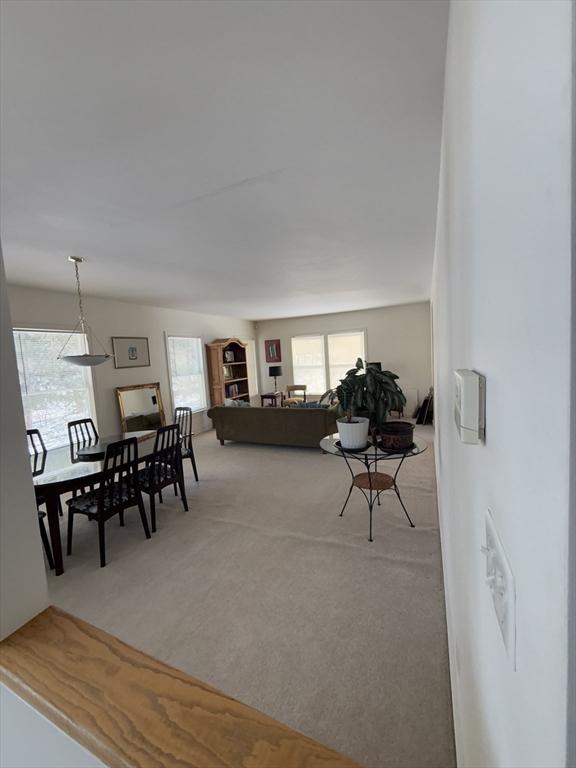 view of carpeted living area