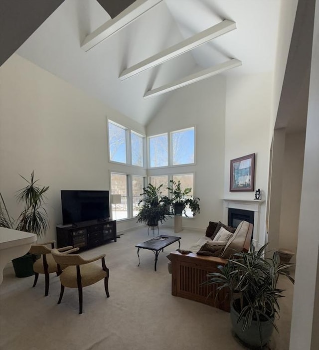 carpeted living area featuring high vaulted ceiling, beamed ceiling, and a fireplace