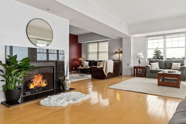 living room with hardwood / wood-style flooring, a healthy amount of sunlight, and a premium fireplace