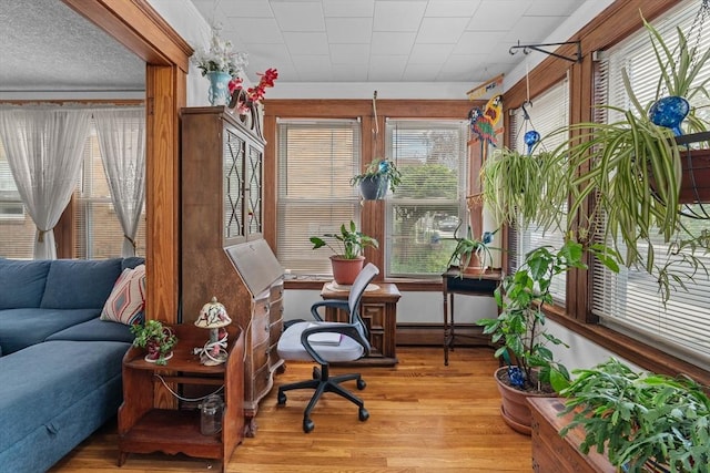 sunroom with a baseboard radiator