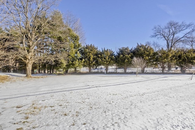 view of snowy yard