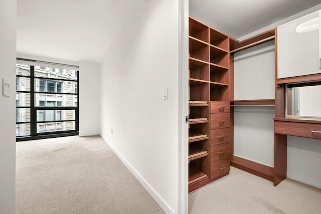 walk in closet with light colored carpet