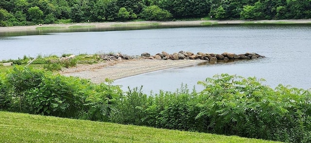 109 Wilder St, Swansea, MA 02777 - water view featuring a forest