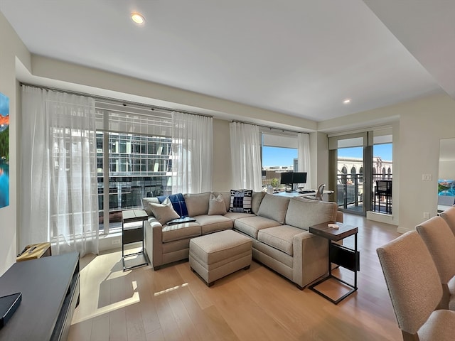 living room featuring hardwood / wood-style flooring