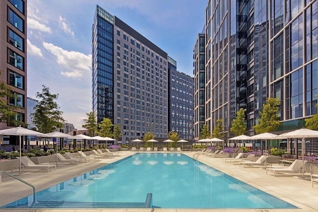 view of pool featuring a patio area