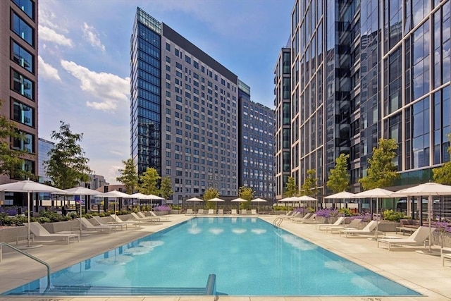 view of pool with a patio area