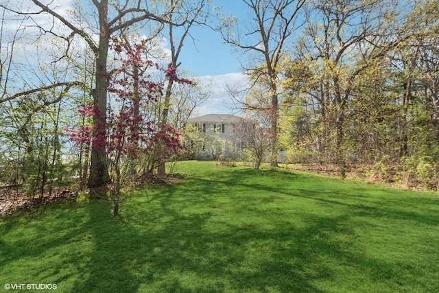 28 Myrtle St, Millis, MA 02054 - view of grassy yard
