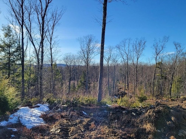 view of local wilderness with a view of trees