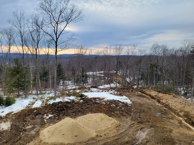 view of mountain feature featuring a forest view