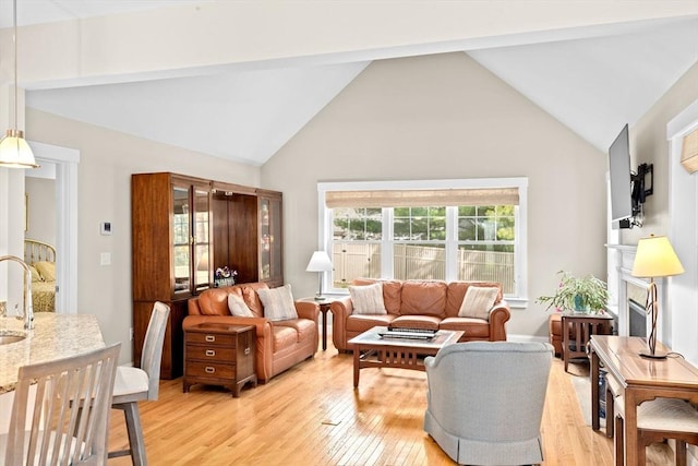 33 Inkberry Ln, Plymouth, MA 02360 - living area featuring light wood finished floors and lofted ceiling