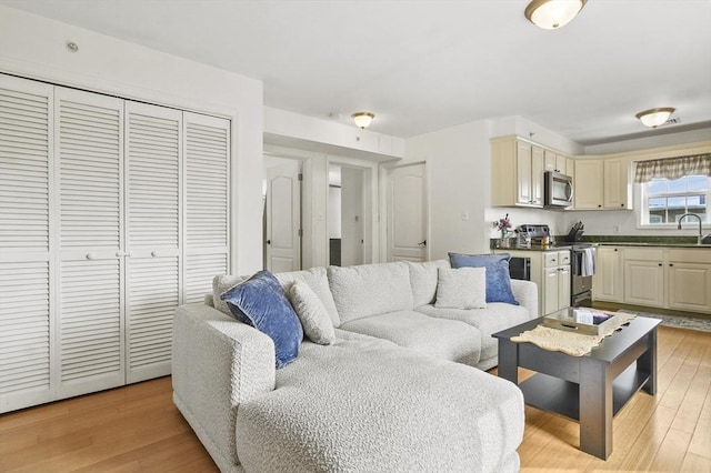 226-236 River St Unit 5, Haverhill, MA 01832 - living room featuring light wood finished floors