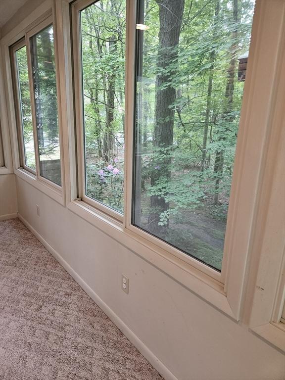 59 Tanbark Rd, Sudbury, MA 01776 - detailed view of carpet flooring and baseboards