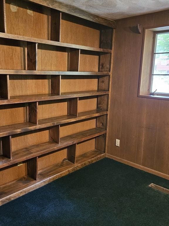 59 Tanbark Rd, Sudbury, MA 01776 - view of storage