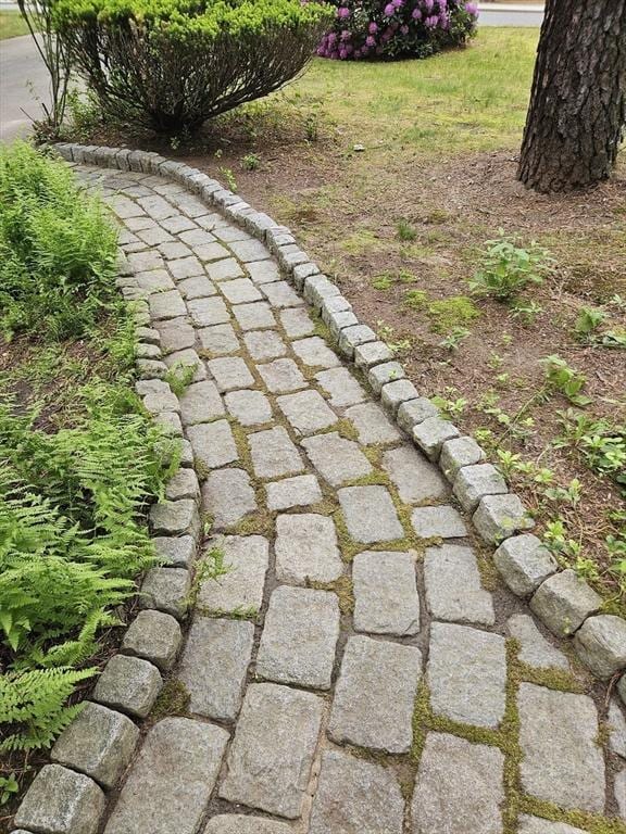 59 Tanbark Rd, Sudbury, MA 01776 - view of yard