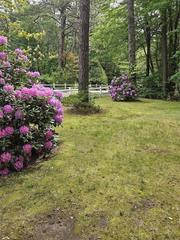 59 Tanbark Rd, Sudbury, MA 01776 - view of yard featuring a forest view
