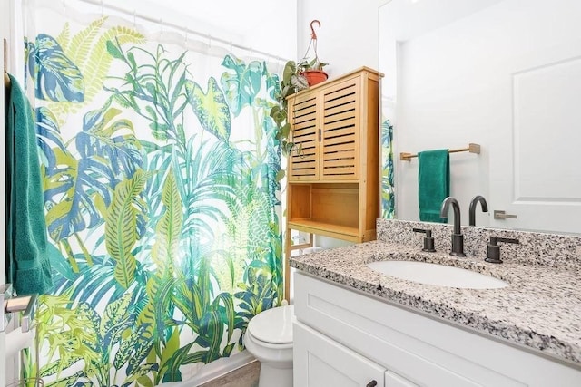 full bathroom with toilet, vanity, and a shower with shower curtain
