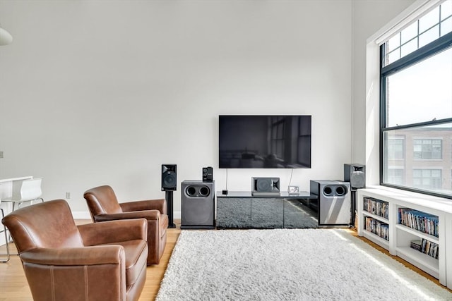 living room featuring light hardwood / wood-style floors and a healthy amount of sunlight