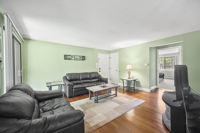 1410 Skyline Dr Unit 11, Lowell, MA 01854 - living area featuring wood finished floors and baseboards
